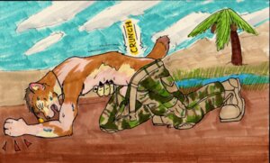 Rating: Explicit Score: 0 Tags: camo cheetah cloud desert dog_tags e621 felid feline male mammal military oasis outside sikes sky solo tail transformation User: bunchy7s