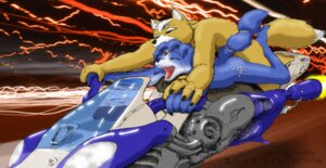 Rating: Explicit Score: 0 Tags: 2006 anthro anthro_on_anthro asthexiancal blue_body blue_fur blue_hair canid canine driving duo e621 ezalias feet female female_penetrated fox fox_mccloud from_behind_position fur glistening hair hoverbike hovering intraspecies krystal_(star_fox) leg_wrap male male/female male_penetrating male_penetrating_female mammal motorcycle nintendo nude orgasm outside outside_sex penetration penile penile_penetration penis_in_vagina sex sex_while_driving star_fox tail vaginal vaginal_penetration vehicle white_body white_fur User: bunchy7s Rating: Explicit Score: 0 Tags: 2006 anthro anthro_on_anthro asthexiancal blue_body blue_fur blue_hair canid canine driving duo e621 ezalias feet female female_penetrated fox fox_mccloud from_behind_position fur glistening hair hoverbike hovering intraspecies krystal_(star_fox) leg_wrap male male/female male_penetrating male_penetrating_female mammal motorcycle nintendo nude orgasm outside outside_sex penetration penile penile_penetration penis_in_vagina sex sex_while_driving star_fox tail vaginal vaginal_penetration vehicle white_body white_fur User: bunchy7s