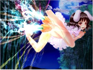 Rating: Explicit Score: 0 Tags: bunny_ear cabbaco carrot dildo double_penetration female highres peeing penetration rule34 tewi_inaba touhou uncensored vegetable_dildo what User: bunchy7s Rating: Explicit Score: 0 Tags: bunny_ear cabbaco carrot dildo double_penetration female highres peeing penetration rule34 tewi_inaba touhou uncensored vegetable_dildo what User: bunchy7s