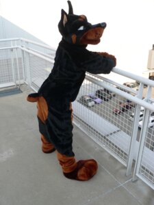 Rating: Safe Score: 0 Tags: 3:4 anthro balcony canid canine canis clothing costume dobermann domestic_dog e621 fursuit grandfathered_content male mammal outside pinscher pose real solo unknown_artist User: bunchy7s