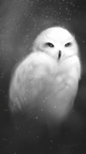 Rating: Safe Score: 0 Tags: 2011 ambiguous_gender avian beak bird black_beak detailed e621 feathers feral grey_background greyscale hi_res monochrome owl painting_(object) portrait realistic simple_background snow snowing solo three-quarter_portrait white_body white_feathers zensou User: bunchy7s