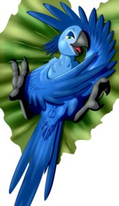 Rating: Explicit Score: 0 Tags: 2011 anus avian avian_butt beak bird blue_body blue_feathers blue_sky_studios e621 feathered_wings feathers female feral genitals hi_res jewel_(rio) lying macaw marc_leonhardt neotropical_parrot on_back parrot rio_(series) simple_background solo spix's_macaw spread_legs spreading true_parrot unfinished vulva white_background wings User: bunchy7s