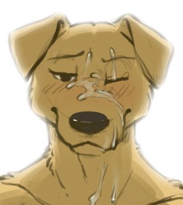 Rating: Explicit Score: 0 Tags: 1boy anthro blush canine cum face gay labrador male male_only meesh rule34 solo travis_(meesh) white_background User: bunchy7s Rating: Explicit Score: 0 Tags: 1boy anthro blush canine cum face gay labrador male male_only meesh rule34 solo travis_(meesh) white_background User: bunchy7s