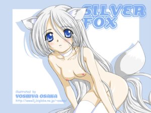 Rating: Explicit Score: 0 Tags: 4:3 animal_humanoid blue_eyes blush breasts canid canid_humanoid canine canine_humanoid clothing collar e621 female fox fox_humanoid hair humanoid legwear long_hair looking_at_viewer mammal mammal_humanoid nipples solo tail thigh_highs unknown_artist white_hair User: bunchy7s Rating: Explicit Score: 0 Tags: 4:3 animal_humanoid blue_eyes blush breasts canid canid_humanoid canine canine_humanoid clothing collar e621 female fox fox_humanoid hair humanoid legwear long_hair looking_at_viewer mammal mammal_humanoid nipples solo tail thigh_highs unknown_artist white_hair User: bunchy7s