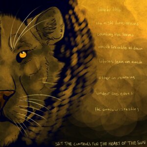 Rating: Safe Score: 0 Tags: 1:1 ambiguous_form blaushepherd e621 english_text felid lion lyrics male mammal orange_eyes orange_theme pantherine pink_floyd solo text User: bunchy7s