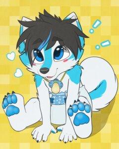 Rating: Safe Score: 0 Tags: 4_toes 5_fingers anthro biped black_hair blue_body blue_eyes blue_fur blush canid canine canis clean_diaper clothed clothing curled_tail diaper diaper_only domestic_dog e621 exclamation_point eye_through_hair feet fingers foot_focus fur hair hair_over_eye happy heart_symbol hi_res husky hybrid male mammal neonate nordic_sled_dog one_eye_obstructed pacifier pattern_diaper pawpads pawprint_diaper pawprint_pattern pawprint_print paws plantigrade print_diaper simple_background sitting solo spitz tail toes topless translucent translucent_hair wearing_diaper wolf wolfdog yellow_background young young_anthro yuni_(yuniwolfsky) yuniwolfsky User: bunchy7s
