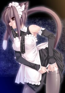 Rating: Questionable Score: 0 Tags: animal_humanoid brown_hair cat_humanoid clothing e621 felid felid_humanoid feline feline_humanoid female hair hi_res humanoid jian_(artist) legwear maid_uniform mammal mammal_humanoid solo stockings tail uniform User: bunchy7s Rating: Questionable Score: 0 Tags: animal_humanoid brown_hair cat_humanoid clothing e621 felid felid_humanoid feline feline_humanoid female hair hi_res humanoid jian_(artist) legwear maid_uniform mammal mammal_humanoid solo stockings tail uniform User: bunchy7s