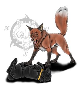 Rating: Explicit Score: 0 Tags: animal_genitalia canid canine canis collar dominant duo e621 feet feral fox fully_sheathed genitals hi_res hindpaw male mammal paws sheath submissive tail wolf xarox User: bunchy7s