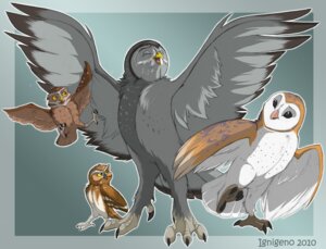 Rating: Safe Score: 0 Tags: 2010 ambiguous_gender artist_name athene_(genus) avian barn_owl beak bird brown_body brown_feathers burrowing_owl cel_shading claws digger_(gogh) digital_drawing_(artwork) digital_media_(artwork) e621 elf_owl eyes_closed feathered_wings feathers feet feral front_view great_grey_owl green_background grey_body grey_feathers group guardians_of_ga'hoole gylfie ignigeno open_mouth owl shaded simple_background soren_(gogh) spread_wings standing strix_(genus) talons tan_body tan_feathers text toe_claws toes tongue true_owl twilight_(gogh) tyto tytonid western_barn_owl white_body white_feathers wings User: bunchy7s Rating: Safe Score: 0 Tags: 2010 ambiguous_gender artist_name athene_(genus) avian barn_owl beak bird brown_body brown_feathers burrowing_owl cel_shading claws digger_(gogh) digital_drawing_(artwork) digital_media_(artwork) e621 elf_owl eyes_closed feathered_wings feathers feet feral front_view great_grey_owl green_background grey_body grey_feathers group guardians_of_ga'hoole gylfie ignigeno open_mouth owl shaded simple_background soren_(gogh) spread_wings standing strix_(genus) talons tan_body tan_feathers text toe_claws toes tongue true_owl twilight_(gogh) tyto tytonid western_barn_owl white_body white_feathers wings User: bunchy7s