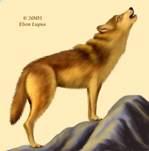 Rating: Safe Score: 0 Tags: 2003 ambiguous_gender black_nose brown_body brown_fur canid canine canis claws e621 ebon_lupus feral fluffy fluffy_tail fur howl inner_ear_fluff mammal multicolored_body multicolored_fur open_mouth paws rock signature simple_background solo standing tail tan_background tan_body tan_fur teeth tuft wolf yellow_sclera User: bunchy7s Rating: Safe Score: 0 Tags: 2003 ambiguous_gender black_nose brown_body brown_fur canid canine canis claws e621 ebon_lupus feral fluffy fluffy_tail fur howl inner_ear_fluff mammal multicolored_body multicolored_fur open_mouth paws rock signature simple_background solo standing tail tan_background tan_body tan_fur teeth tuft wolf yellow_sclera User: bunchy7s