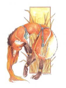 Rating: Questionable Score: 0 Tags: 2004 anthro armband bent_over bikini biped canid canine claws clothed clothing digitigrade e621 female fluffy fluffy_tail fur glance gloves_(marking) hair heather_bruton leaning_on_self leg_markings legband long_hair looking_at_viewer mammal mane mane_hair maned_wolf markings orange_body orange_fur plant shaded side_view simple_background skimpy smaller_version_at_source socks_(marking) solo standing stretching swimwear tail tight_clothing toe_claws tribal two-piece_swimsuit User: bunchy7s Rating: Questionable Score: 0 Tags: 2004 anthro armband bent_over bikini biped canid canine claws clothed clothing digitigrade e621 female fluffy fluffy_tail fur glance gloves_(marking) hair heather_bruton leaning_on_self leg_markings legband long_hair looking_at_viewer mammal mane mane_hair maned_wolf markings orange_body orange_fur plant shaded side_view simple_background skimpy smaller_version_at_source socks_(marking) solo standing stretching swimwear tail tight_clothing toe_claws tribal two-piece_swimsuit User: bunchy7s