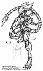 Rating: Safe Score: 0 Tags: 2007 alien alien_(franchise) anthro breasts e621 english_text eyeless female jesonite monochrome solo tail text xenomorph xenomorph_queen User: bunchy7s