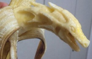 Rating: Safe Score: 0 Tags: ambiguous_gender banana dragon e621 feral food fruit grandfathered_content mythological_creature mythological_scalie mythology open_mouth plant real scalie solo traditional_media_(artwork) unknown_artist wings User: bunchy7s