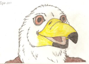 Rating: Safe Score: 0 Tags: accipitrid accipitriform anthro avian bald_eagle beak bird brown_body brown_feathers bust_portrait colored_pencil_(artwork) e621 eagle feathers front_view jt male portrait sea_eagle solo traditional_media_(artwork) tyson_eagle white_body white_feathers User: bunchy7s