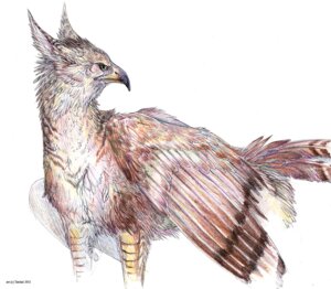 Rating: Safe Score: 0 Tags: 2011 artist_name avian beak brown_body brown_feathers brown_fur colored curved_beak dated e621 feathered_wings feathers feral fluffy_ears fur gryphon looking_aside looking_away male mythological_avian mythological_creature mythology nukerooster one_eye_obstructed pink_inner_ear portrait scuted_arms scutes simple_background solo spread_wings tail tail_feathers text three-quarter_portrait traditional_media_(artwork) white_background wings User: bunchy7s Rating: Safe Score: 0 Tags: 2011 artist_name avian beak brown_body brown_feathers brown_fur colored curved_beak dated e621 feathered_wings feathers feral fluffy_ears fur gryphon looking_aside looking_away male mythological_avian mythological_creature mythology nukerooster one_eye_obstructed pink_inner_ear portrait scuted_arms scutes simple_background solo spread_wings tail tail_feathers text three-quarter_portrait traditional_media_(artwork) white_background wings User: bunchy7s
