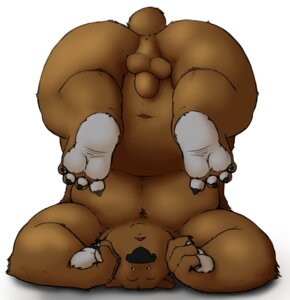 Rating: Explicit Score: 0 Tags: 4_toes animal_genitalia anthro anus balls bear brown_balls brown_bear claws e621 feet fully_sheathed genitals grizzly_bear hindpaw kronexfire male mammal navel nude open_mouth overweight overweight_anthro overweight_male pawpads paws plantigrade sheath simple_background soles solo toe_claws toes upside_down ursine white_background User: bunchy7s