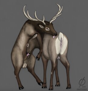 Rating: Explicit Score: 0 Tags: 2009 antlers anus balls breasts cervine cum cum_inside deepthroat deer emptyset fellatio female feral hooves horns interspecies male oral oral_sex penis pussy rule34 sex tongue User: bunchy7s Rating: Explicit Score: 0 Tags: 2009 antlers anus balls breasts cervine cum cum_inside deepthroat deer emptyset fellatio female feral hooves horns interspecies male oral oral_sex penis pussy rule34 sex tongue User: bunchy7s