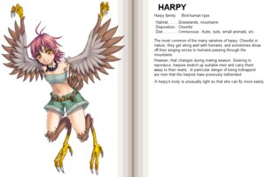 Rating: Questionable Score: 0 Tags: 3:2 avian blush bottomwear breasts claws clothed clothing collar e621 english_text european_mythology feathered_wings feathers female flying greek_mythology hair hard_translated harpy humanoid humanoid_pointy_ears kenkou_cross midriff monster_girl_(genre) monster_girl_profile mythological_avian mythological_creature mythology pink_hair pointy_ears shorts small_breasts solo tail tail_feathers text the_more_you_know third-party_edit translated translation_edit winged_humanoid wings User: bunchy7s Rating: Questionable Score: 0 Tags: 3:2 avian blush bottomwear breasts claws clothed clothing collar e621 english_text european_mythology feathered_wings feathers female flying greek_mythology hair hard_translated harpy humanoid humanoid_pointy_ears kenkou_cross midriff monster_girl_(genre) monster_girl_profile mythological_avian mythological_creature mythology pink_hair pointy_ears shorts small_breasts solo tail tail_feathers text the_more_you_know third-party_edit translated translation_edit winged_humanoid wings User: bunchy7s