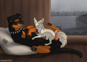 Rating: Explicit Score: 0 Tags: 4_toes animal_genitalia animal_penis balls belial_(opium5) black_balls black_pawpads canid canine canine_genitalia canine_penis canis collar digitigrade domestic_dog duo e621 erection feet fennec_fox feral feral_on_feral fox fur genitals hindpaw larger_male leg_markings male male/male mammal markings mastiff molosser nude opium5 pawpads paws penis penis_size_difference pillow quadruped rottweiler ryn_(opium5) scar sheath size_difference smaller_male socks_(marking) soles spread_legs spreading tail toes true_fox User: bunchy7s