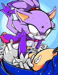 Rating: Explicit Score: 0 Tags: anthro blaze_the_cat blue_fur cat domestic_cat feline female femdom fur furry hedgehog male mammal manaita rule34 sonic_(series) sonic_the_hedgehog straight tagme User: bunchy7s