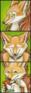 Rating: Safe Score: 0 Tags: ambiguous_gender anthro beads black_claws black_lips black_nails black_nose bone brown_hair brush bust_portrait canid canine claws colored_nails comic creating_art curly_hair e621 ear_piercing eyes_closed figurine fox fur green_background green_eyes hair holding_object inner_ear_fluff jewelry katie_hofgard lips long_hair long_mouth looking_at_viewer mammal nails necklace orange_body orange_fur paintbrush piercing portrait quadruped side_view simple_background skull smile snout solo tail tan_body tan_fur tongue tongue_out tuft whiskers white_body white_fur User: bunchy7s