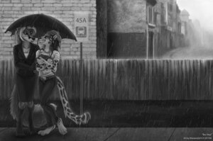 Rating: Safe Score: 0 Tags: anthro canid canine detailed detailed_background duo e621 eye_contact eyewear felid feline female fox glasses greyscale holding_object holding_umbrella leopardus looking_at_another mammal monochrome ocelot outside raining shinigamigirl standing tail toony umbrella wet User: bunchy7s