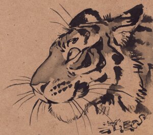 Rating: Safe Score: 0 Tags: 2012 ambiguous_gender e621 felid feral headshot_portrait icon kenket mammal monochrome nude pantherine portrait side_view sketch solo tiger traditional_media_(artwork) whiskers User: bunchy7s