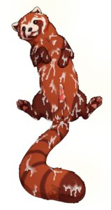 Rating: Explicit Score: 0 Tags: ailurid avatar:_the_last_airbender balls bodily_fluids cum cum_everywhere cum_in_ass cum_inside cum_on_balls cum_on_belly cum_on_body cum_on_chest cum_on_face cum_on_feet cum_on_penis cum_on_tail e621 erection excessive_cum excessive_genital_fluids feet feral fire_ferret genital_fluids genitals lying male mammal messy nickelodeon on_back pabu penis simple_background solo tail the_legend_of_korra valderic_blackstag white_background User: bunchy7s