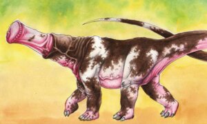 Rating: Explicit Score: 0 Tags: animal_genitalia animal_penis claws cloaca dinosaur e621 equine_genitalia equine_penis erection feral flared_penis genital_focus genital_shot genitals male medial_ring mottled mottled_genitalia mottled_penis penis penis_creature penis_focus penis_shot prehistoric_species quadruped reptile saurischian sauropod sauropodomorph scalie solo tail vein veiny_penis walking what what_has_science_done zeminor User: bunchy7s Rating: Explicit Score: 0 Tags: animal_genitalia animal_penis claws cloaca dinosaur e621 equine_genitalia equine_penis erection feral flared_penis genital_focus genital_shot genitals male medial_ring mottled mottled_genitalia mottled_penis penis penis_creature penis_focus penis_shot prehistoric_species quadruped reptile saurischian sauropod sauropodomorph scalie solo tail vein veiny_penis walking what what_has_science_done zeminor User: bunchy7s