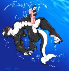 Rating: Explicit Score: 0 Tags: anthro aquatic blush bodily_fluids bubble cetacean cum cum_in_water cum_underwater dolphin e621 erection genital_fluids genitals glenn humanoid_genitalia humanoid_penis male mammal masturbation muscular muscular_anthro muscular_male nude oceanic_dolphin orca penile penile_masturbation penis sea solo tail toothed_whale underwater water User: bunchy7s Rating: Explicit Score: 0 Tags: anthro aquatic blush bodily_fluids bubble cetacean cum cum_in_water cum_underwater dolphin e621 erection genital_fluids genitals glenn humanoid_genitalia humanoid_penis male mammal masturbation muscular muscular_anthro muscular_male nude oceanic_dolphin orca penile penile_masturbation penis sea solo tail toothed_whale underwater water User: bunchy7s