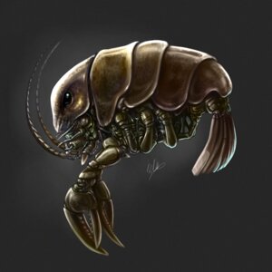 Rating: Safe Score: 0 Tags: 1:1 2010 ambiguous_gender antennae_(anatomy) aquatic arthropod crustacean decapod e621 feral lobster machine malacostracan robot robot_feral silverfox5213 solo User: bunchy7s