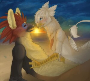 Rating: Questionable Score: 0 Tags: 2010 anthro avian beak bird breasts detailed_background drey duo e621 feathered_wings feathers female gryphon hoatzin hoot_(artist) hoot_(character) male male/female mythological_avian mythological_creature mythology non-mammal_breasts nude outside romantic romantic_ambiance romantic_couple side_boob sunset tail tail_tuft tuft wings User: bunchy7s