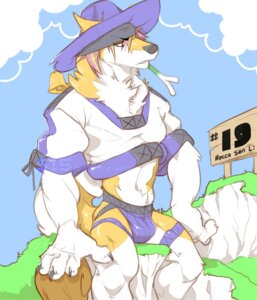 Rating: Questionable Score: 0 Tags: anthro bell black_nose bulge canid canine canis chest_tuft clothed clothing cloud domestic_dog e-w01f e621 frown fur hair hat headgear headwear husky jockstrap male mammal muscular muscular_anthro muscular_male nordic_sled_dog outside partially_clothed pink_hair sky solo spitz tuft underwear white_body white_fur yellow_body yellow_eyes yellow_fur User: bunchy7s