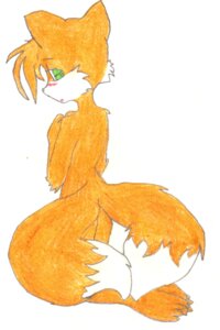 Rating: Questionable Score: 0 Tags: 4_toes anthro barefoot big_head biped blush canid canine claws dipstick_tail e621 feet fox fur green_eyes hair hand_on_chest kneeling looking_back male mammal markings miles_prower multi_tail multicolored_tail nude orange_body orange_fur orange_hair rear_view sega short_hair shy simple_background solo sonic_the_hedgehog_(series) tail tail_markings toes toony unknown_artist white_background white_body white_fur User: bunchy7s