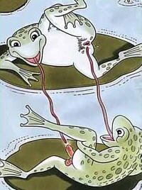 Rating: Explicit Score: 0 Tags: 69_position amphibian digital_media_(artwork) duo e621 female feral frog genitals intraspecies lily_pad long_tongue low_res male male/female nude oral penis plant sex tongue tongue_out unknown_artist vulva User: bunchy7s Rating: Explicit Score: 0 Tags: 69_position amphibian digital_media_(artwork) duo e621 female feral frog genitals intraspecies lily_pad long_tongue low_res male male/female nude oral penis plant sex tongue tongue_out unknown_artist vulva User: bunchy7s