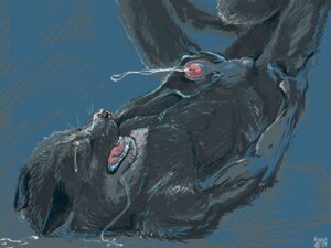 Rating: Explicit Score: 0 Tags: 1boy 2009 anthro canine cum fur furry kaputotter male male_only masturbation messy nude rule34 solo thundergrey wolf User: bunchy7s Rating: Explicit Score: 0 Tags: 1boy 2009 anthro canine cum fur furry kaputotter male male_only masturbation messy nude rule34 solo thundergrey wolf User: bunchy7s