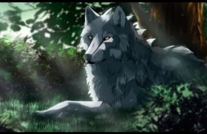 Rating: Safe Score: 0 Tags: ambiguous_gender black_bars canid canine canis detailed_background e621 feral forest frozen-sirius grass leaf letterbox mammal nature outside plant solo tree wolf User: bunchy7s Rating: Safe Score: 0 Tags: ambiguous_gender black_bars canid canine canis detailed_background e621 feral forest frozen-sirius grass leaf letterbox mammal nature outside plant solo tree wolf User: bunchy7s