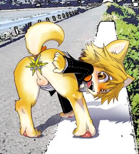 Rating: Explicit Score: 0 Tags: chinjuu_hibakichi furry hanamura_yousuke hibachi male male_only megami_tensei persona persona_4 rule34 tagme User: bunchy7s