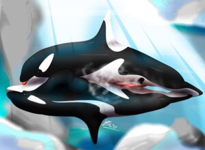 Rating: Explicit Score: 0 Tags: cetacean cum dolphin feral feral_on_feral furry furry_only gay leeham991dark male marine no_humans orca penis rule34 tail User: bunchy7s