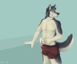 Rating: Explicit Score: 0 Tags: 2008 5_fingers abs anthro beverage biceps biped black_nose blue_eyes boxers_(clothing) brown_clothing brown_underwear bulge canid canine canis clothed clothing coffee_mug container cup detailed domestic_dog e621 erection erection_under_clothing fingers food fur genitals grey_body grey_fur holding_container holding_cup holding_object hushhusky husky looking_aside male mammal muscular muscular_anthro muscular_male nordic_sled_dog pecs penis simple_background skimpy smile solo spades_(suit) spitz standing suit_symbol tail teal_background tenting topless underwear white_body white_fur User: bunchy7s