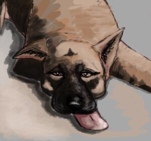 Rating: Safe Score: 0 Tags: black_inner_ear_fluff black_nose brown_body brown_eyes brown_fur canid canine canis detailed domestic_dog e621 female feral fur gdane german_shepherd herding_dog inner_ear_fluff lying mammal multicolored_body multicolored_fur pastoral_dog pink_tongue realistic simple_background solo tongue tongue_out tuft User: bunchy7s