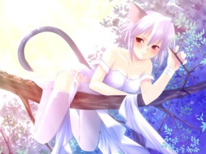 Rating: Questionable Score: 0 Tags: 4:3 albino animal_humanoid branch cat_humanoid cat_tail clothing dress e621 felid felid_humanoid feline feline_humanoid female hair humanoid in_tree kotonomiya_yuki legwear mammal mammal_humanoid plant red_eyes short_hair solo suigetsu tail thigh_highs touto_seiro tree wallpaper white_hair wood User: bunchy7s Rating: Questionable Score: 0 Tags: 4:3 albino animal_humanoid branch cat_humanoid cat_tail clothing dress e621 felid felid_humanoid feline feline_humanoid female hair humanoid in_tree kotonomiya_yuki legwear mammal mammal_humanoid plant red_eyes short_hair solo suigetsu tail thigh_highs touto_seiro tree wallpaper white_hair wood User: bunchy7s