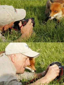 Rating: Safe Score: 0 Tags: ambiguous_gender camera canid canine duo e621 fox grandfathered_content human male mammal photographer photography_(artwork) real tongue tongue_out unknown_artist User: bunchy7s Rating: Safe Score: 0 Tags: ambiguous_gender camera canid canine duo e621 fox grandfathered_content human male mammal photographer photography_(artwork) real tongue tongue_out unknown_artist User: bunchy7s