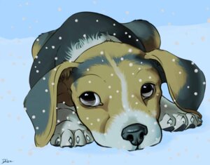 Rating: Safe Score: 0 Tags: ambiguous_gender barefoot beagle black_body black_fur bodily_fluids brown_body brown_fur canid canine canis claws conditional_dnp danza domestic_dog e621 feet feral fur grey_body grey_fur heart_attack_waiting_to_happen hunting_dog looking_at_viewer looking_away lying mammal nude on_front outside scent_hound snow snowing solo tears winter User: bunchy7s Rating: Safe Score: 0 Tags: ambiguous_gender barefoot beagle black_body black_fur bodily_fluids brown_body brown_fur canid canine canis claws conditional_dnp danza domestic_dog e621 feet feral fur grey_body grey_fur heart_attack_waiting_to_happen hunting_dog looking_at_viewer looking_away lying mammal nude on_front outside scent_hound snow snowing solo tears winter User: bunchy7s