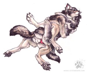Rating: Explicit Score: 0 Tags: 2007 anal anal_penetration animal_genitalia animal_penis anthro anthro_on_anthro anus balls blotch canid canine canine_genitalia canine_penis canis duo e621 erection genitals intraspecies knot male male/male male_penetrated male_penetrating male_penetrating_male mammal nude penetration penis romantic romantic_ambiance romantic_couple scratches_volume_1 sex tail tongue tongue_out traditional_media_(artwork) wolf User: bunchy7s