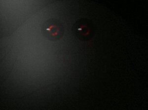 Rating: Safe Score: 0 Tags: 2011 ambiguous_gender animated animated_gif blood bodily_fluids chansey cinoxfellpyre_(artist) creepy e621 generation_1_pokemon looking_at_viewer low_res nightmare_fuel nintendo pokemon pokemon_(species) red_eyes short_playtime solo soul_devouring_eyes what User: bunchy7s