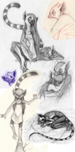Rating: Safe Score: 0 Tags: 2009 afreya anthro chiliza curled_up duo e621 eyes_closed feet female hair hug katta lemur long_hair male mammal multiple_images prehensile_feet primate riftryu ring-tailed_lemur sketch sleeping solo strepsirrhine tail toes young young_anthro User: bunchy7s