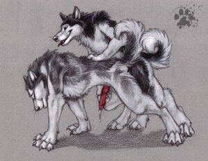 Rating: Explicit Score: 0 Tags: blotch canine canine_penis collaboration colored_background cum furry furry_only gay handjob knot male masturbation penis rule34 tess_garman User: bunchy7s