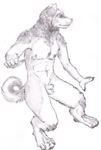 Rating: Explicit Score: 0 Tags: 4_toes animal_genitalia anthro balls canid canine canis claws domestic_dog e621 feet flaccid fully_sheathed genitals greyscale hi_res hindpaw husky looking_away male mammal monochrome nipples nordic_sled_dog nude paws pencil_(object) penis semiotica sheath simple_background solo spitz tail toes User: bunchy7s