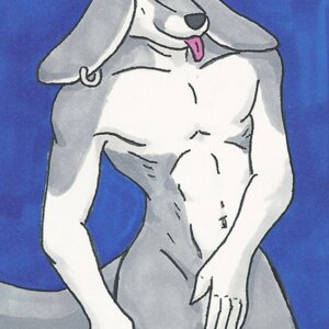 Rating: Questionable Score: 0 Tags: 1:1 5_fingers anthro blue_background canid canine covering covering_crotch covering_self e621 ear_piercing fennec_fox fingers fox front_view fur grey_body grey_fur grey_nose iudicium86 long_ears low_res male mammal nude piercing simple_background solo tail tongue tongue_out true_fox white_body white_fur User: bunchy7s